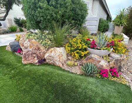 A garden with rocks and plants in the grass.